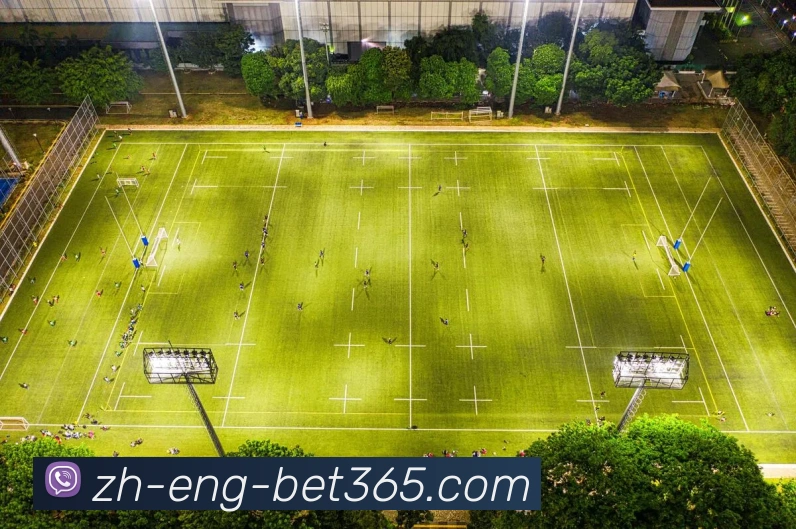 多媒体互动体验